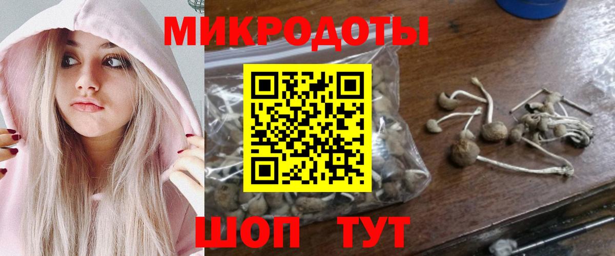 Псилоцибиновые грибы Psilocybine cubensis Барабинск